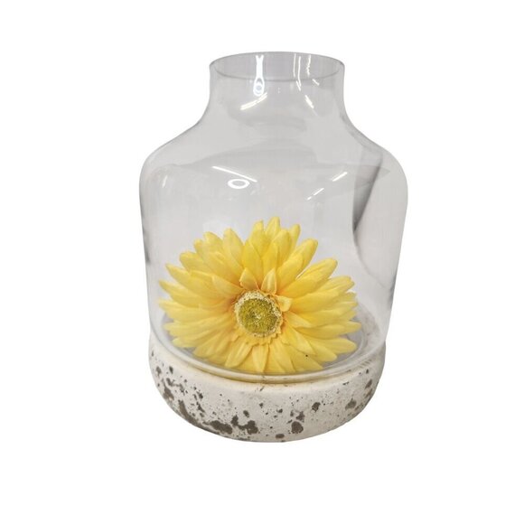 Glass Terrarium with White Concrete Base Modern Rustic Home Decor 8 Inches Tall - Picture 3 of 14